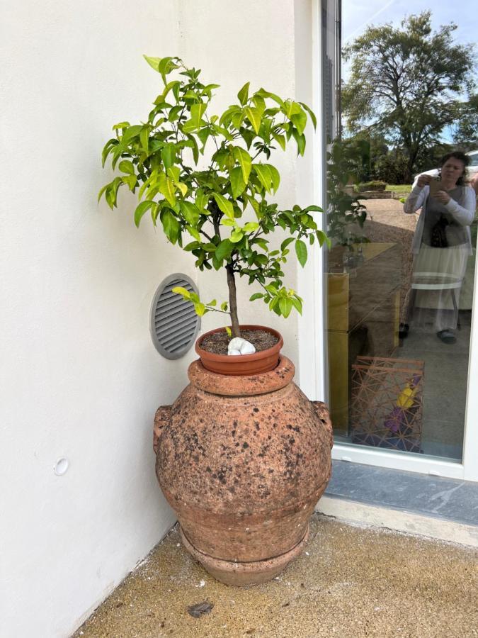 Joy Home Antella Exterior foto